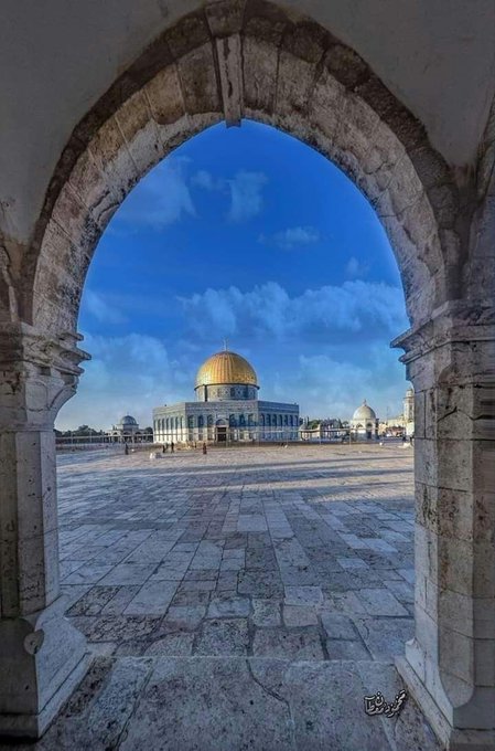 Her geceyi Kadr, her geleni Hızır,her olanı hayr bilenlerden eyle Allah'ım.
Sahurumuz, Cuma'mız mübarek olsun.
Rabb'im acizane yaptığımız ibadetlerimizi, halishane yapılanlardan eyle.
Filistin'i Doğu Türkistan'ı  selâmete ulaştır Allah'ım. Amin
#KadirGecemiz 
#FilistinYetim