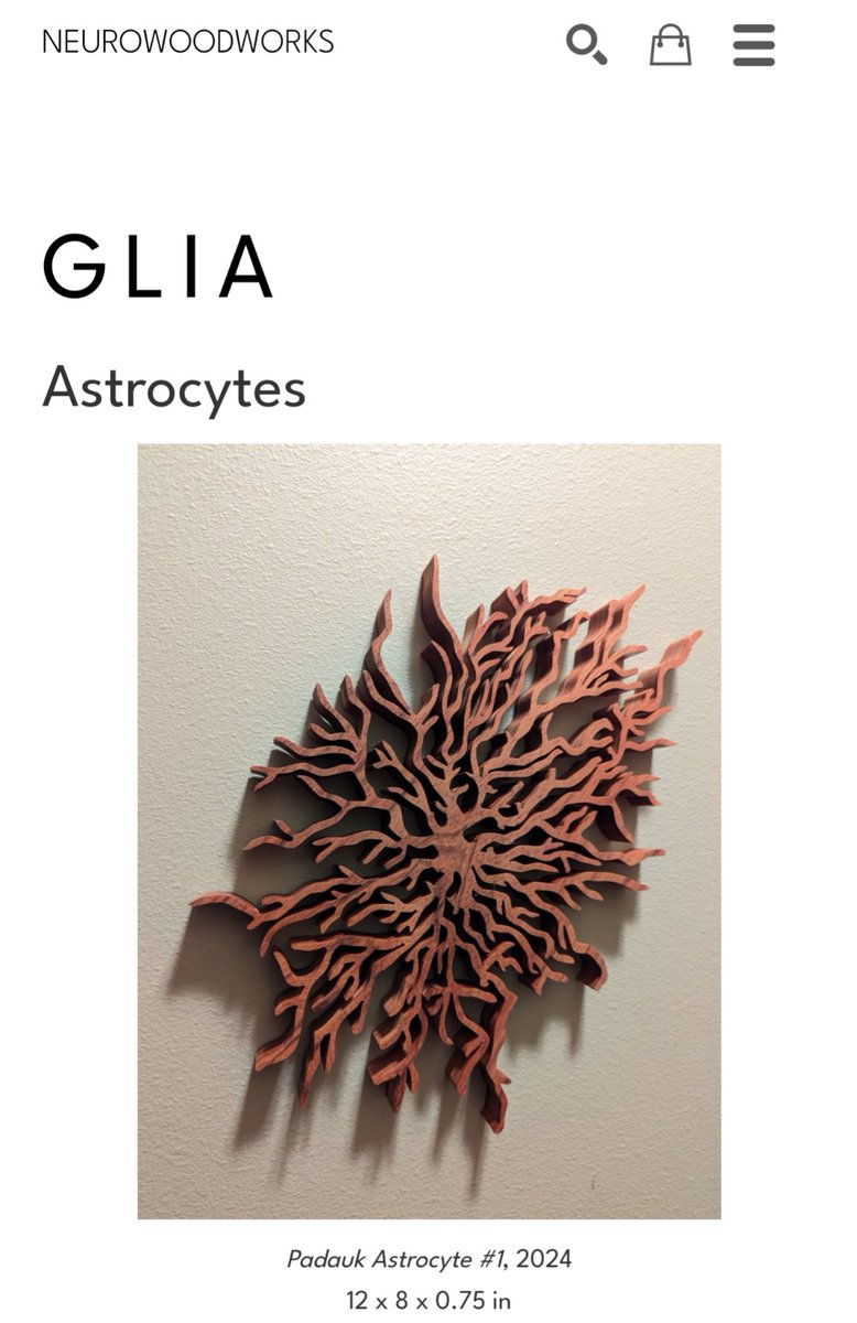 I started adding #glia wood sculptures I had made in the past to my new website if you want to take a peek. #astrocyte #microglia #oligodendrocyte neurowoodworks.com/glia