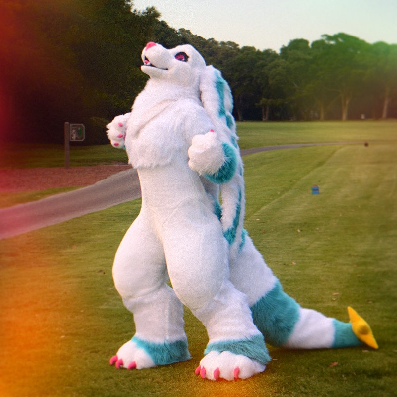 Happy #FursuitFriday!

I need to take this girl out for another photoshoot sometime soon. It's been a while!