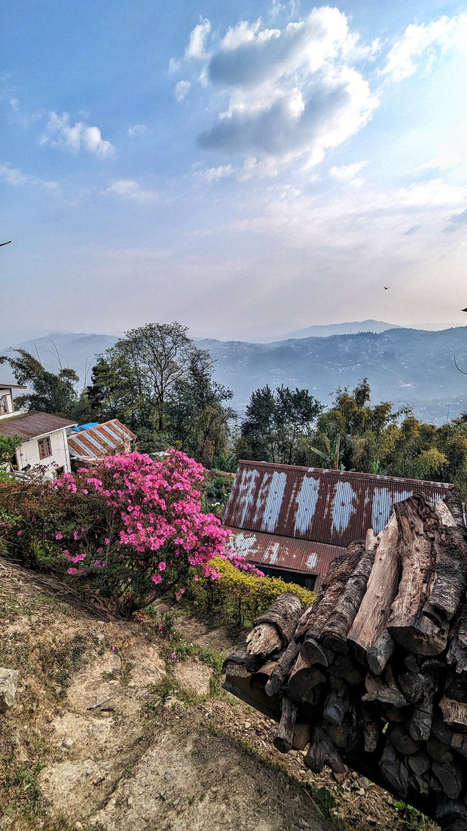 abrahamrohan's tweet photo. Kohima.
8 km jog. 72 km for 2024.
Jail Colony to Science College
#Nagaland #Running #WalkNagaland #Fitness #Kohima #Jotsoma #HuffPuff https://t.co/kmlYMnJLgk