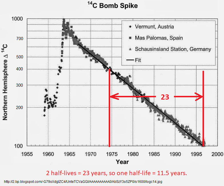 Here's a plot of the C14 bomb pulse or spike as it followed the atmospheric nuclear weapons tests. This gives a guide to how long CO2 stays in the atmosphere before being reabsorbed. This is a maximum. If however 'the C14 lied' to quote Salby & short lived annual plants were…