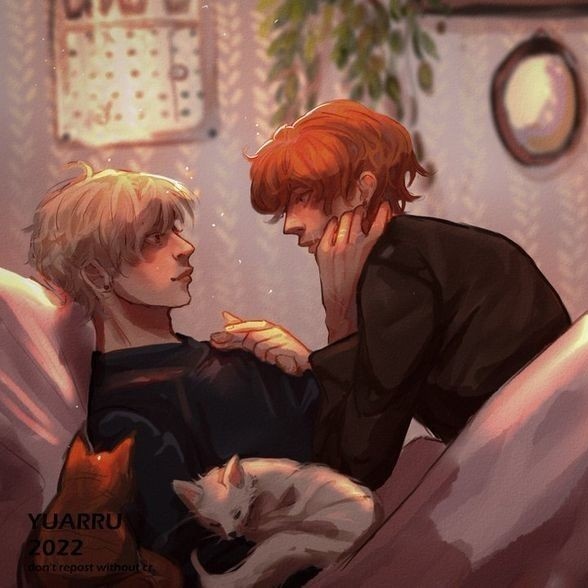 fer no leyó tgr tweet media