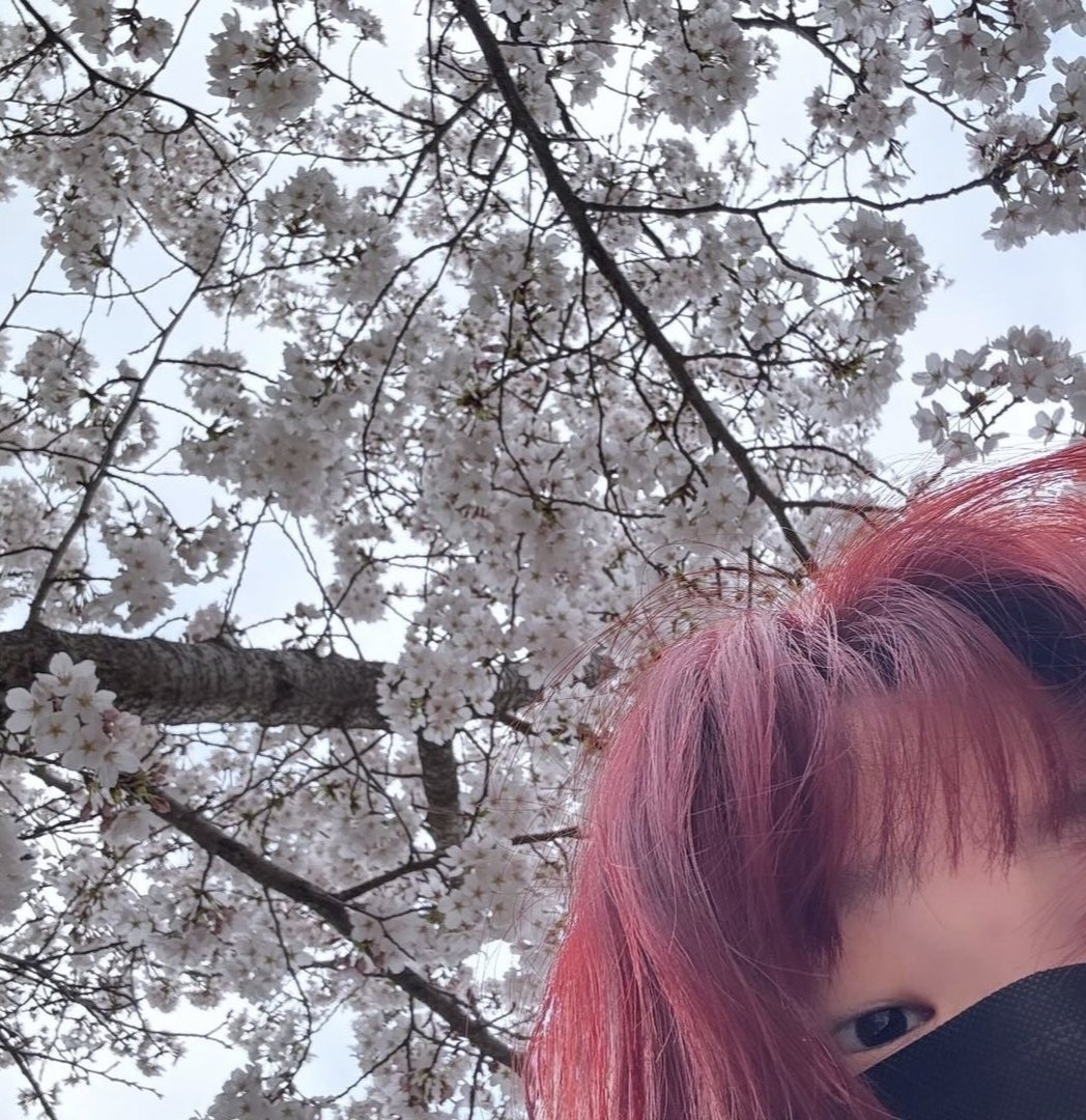 ssuhyune's tweet photo. it's pretty (me and the flowers) https://t.co/HMNlDcRpSa