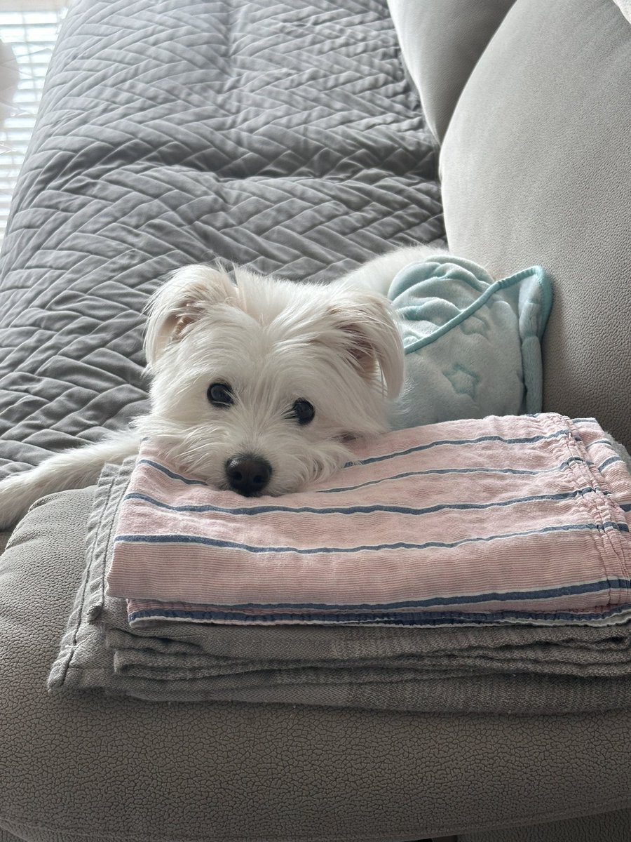 아침밥 기다림                          점심밥 기다림