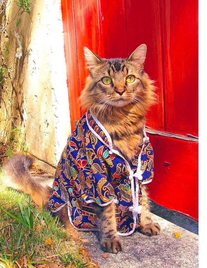 GeneralCattis's tweet photo. #AtThePajamaPartyI try to bring a little culture and elegance to the proceedings https://t.co/YEPJLF7bwR