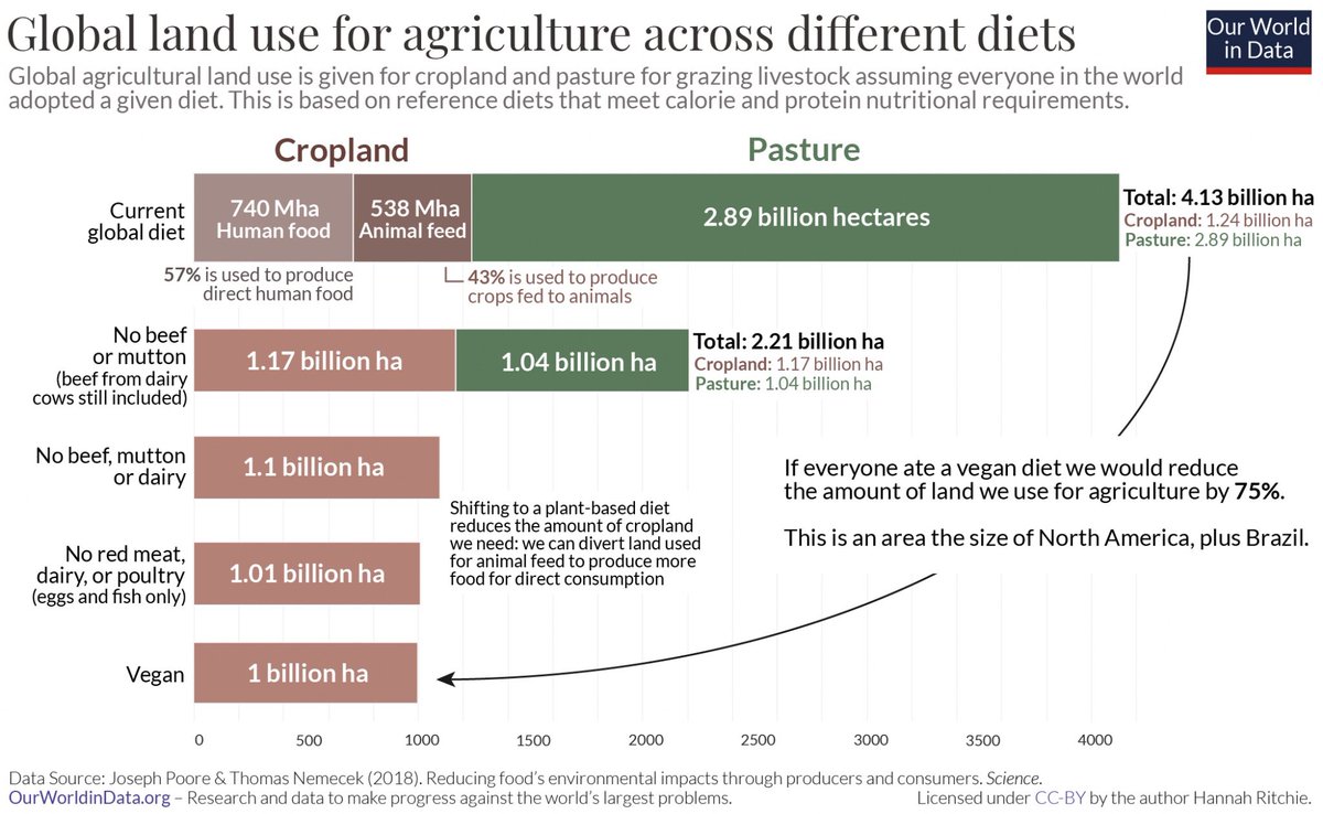 @MrMatthewTodd Time to stop eating meat