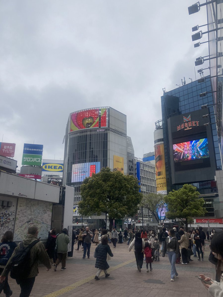 sakuradera1's tweet photo. https://t.co/SpeP6Mgj1U