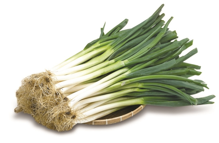 koryodynasty's tweet photo. Update: With early voting starting today, S. Korea's election commission has issued internal guidelines instructing polling stations to have voters store green onions outside the voting area.

The notice stated that green onions could be considered a form of political expression. https://t.co/h3lGPmWDM5