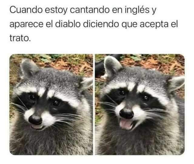 Power_del_Metal's tweet photo. Cómo no le se al inglés, mejor pura música en español 🤘🏻 https://t.co/MlZjE4jtU9