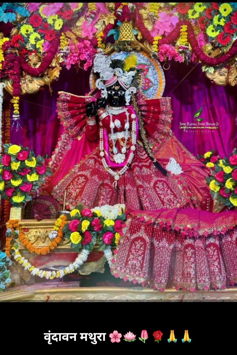 ABhadavriya's tweet photo. https://t.co/eZ7HIyPPw2