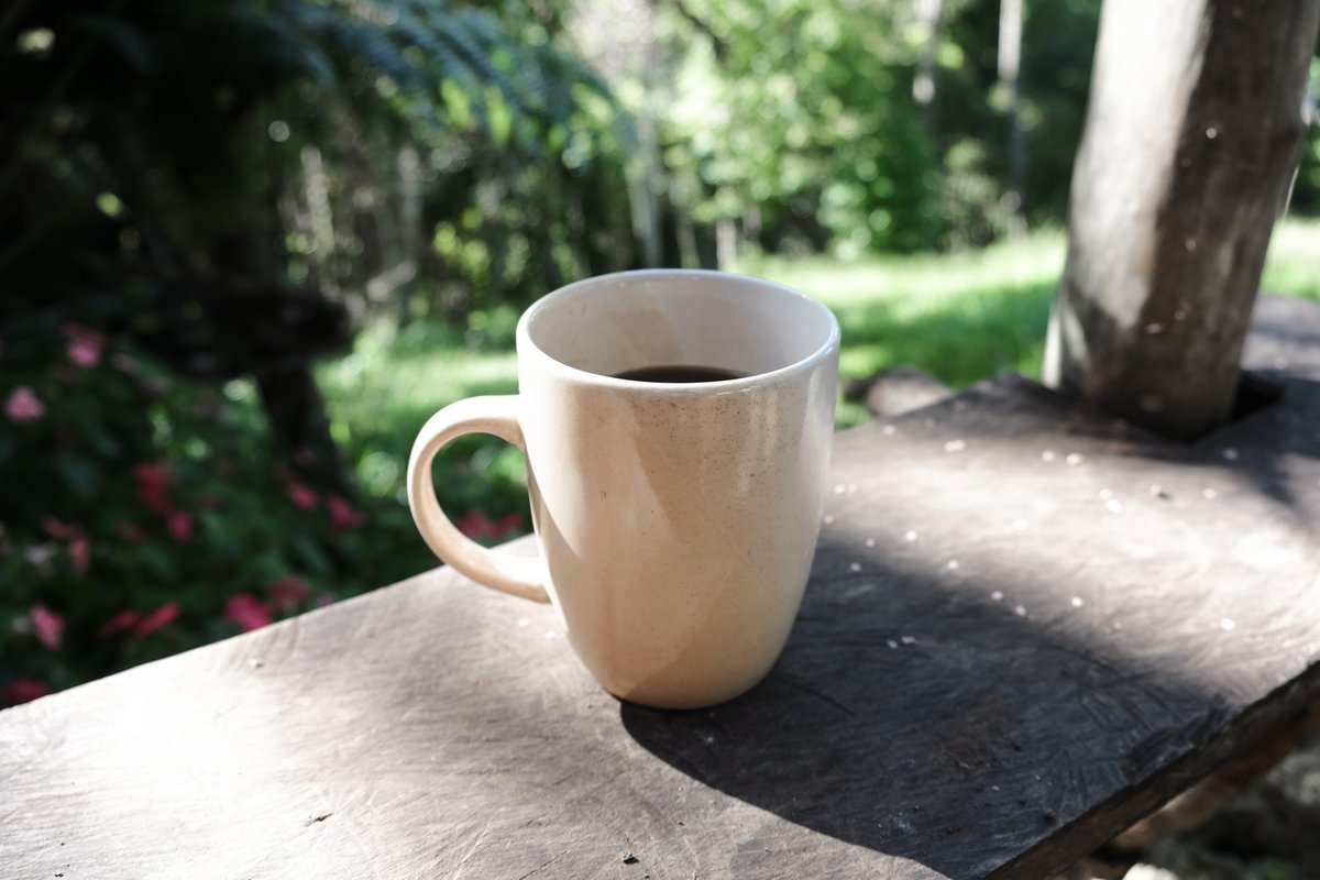proteusCPT's tweet photo. Coffee first, farming later.
GM fellow farmers! 😁

$BLOCK @GetBlockGames https://t.co/a2khxbT1mw