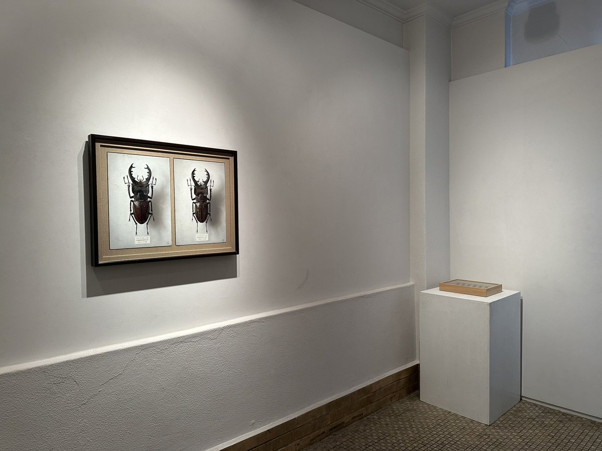 gallerysuchi's tweet photo. 島村信之展　明日の土曜日までとなりました。曇り空ですがギャラリー近くの桜も満開です。お時間ありましたら是非お越しください。

島村 信之 展

2024年3月23日(土)―4月6日(土)
12:00-18:00 

23rd Mar. – 6th Apr. 2024
12:00-18:00
Nobuyuki SHIMAMURA Exhibition

https://t.co/cmlysVF0Rx https://t.co/gltFN79ToI