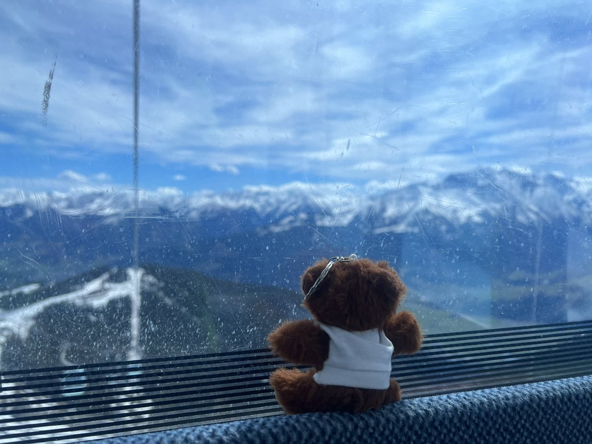 ‘Chip’ the Ewell Castle mascot bear has thoroughly enjoyed his holiday in Austria ! Homeward bound later today. Just one more run ! @EwellCastleHead @EwellCastleUK