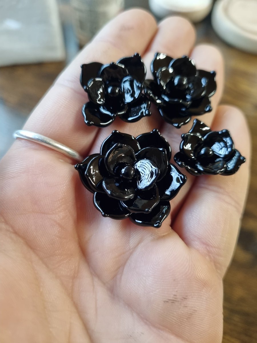 Un peu de noir pour les succu'plantes 🌿 Je les trouves si belles dans cette couleur 👇🏻 (Plantes en verre faites main)