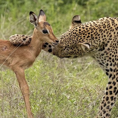 CarlWinslou's tweet image. Same energy.