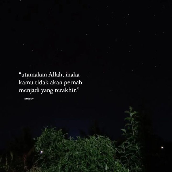 syaaa tweet media