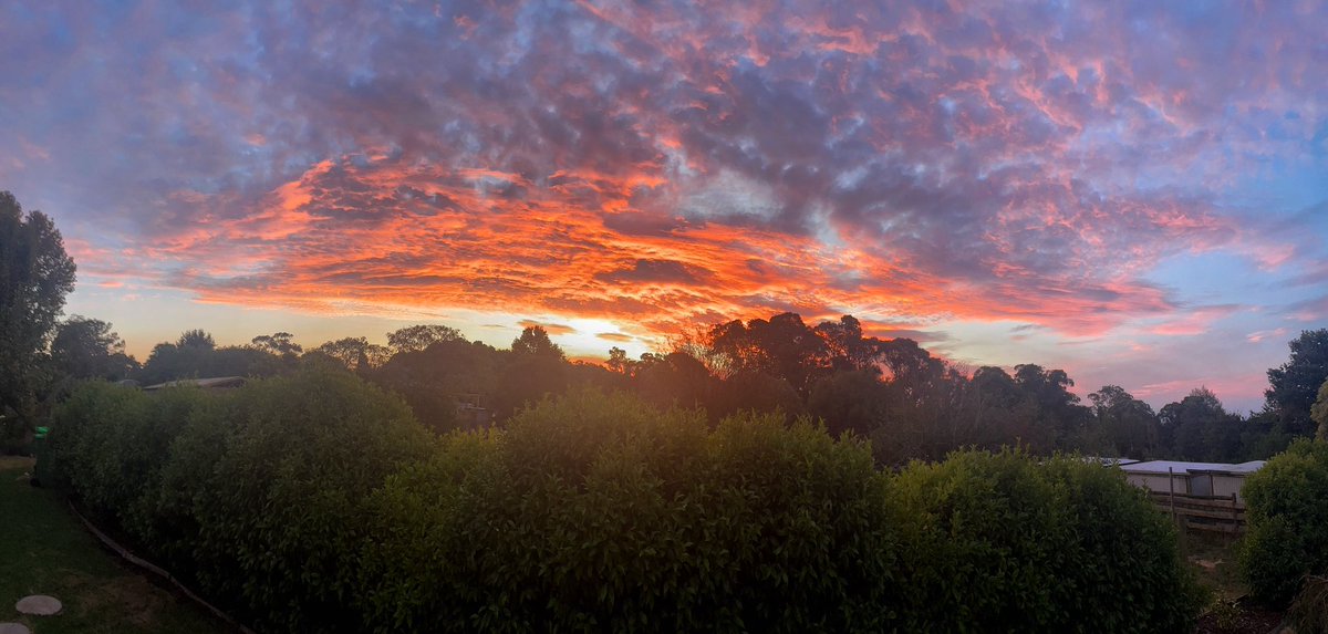 GPMooreEsq's tweet photo. Very nice Melbourne!
#sunset #melbourneweather #gembrook https://t.co/wxkbbJy7SS