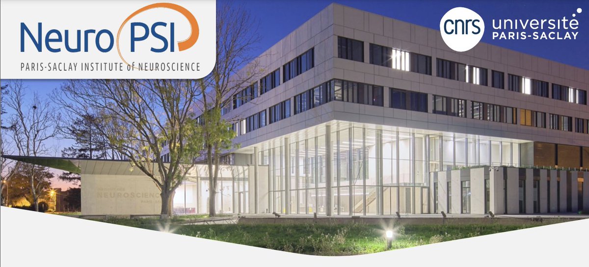 👩‍🔬The Paris-Saclay Institute of Neuroscience calls for new group leaders. 
👉Apply: neuropsi.cnrs.fr/en/offer2024/
📅Deadline: June 30, 2024