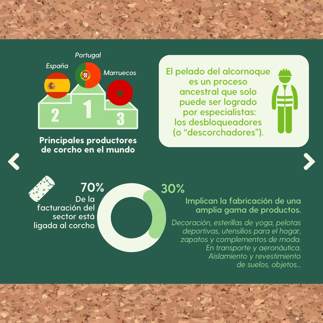 FSC_Spain's tweet photo. Descubre las principales características del corcho natural, desde su origen hasta la amplia variedad de productos elaborados con corcho, y los beneficios de una gestión responsable certificada por FSC 🌳
Más en nuestra web: https://t.co/3RqI7MjLGV
#CorchoFSC #UnaOpciónNatural https://t.co/P5KkD1wbvv