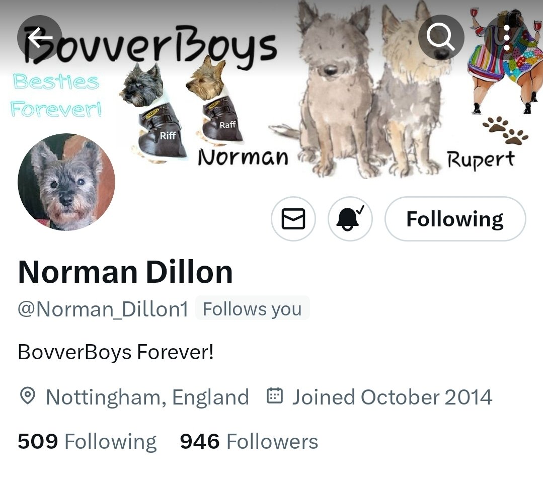 Please pals can you help my bestie get his followers back, he had almost 10,000 before he was suspended and he misses you all so much 😔 #ZSHQ #TheRuffRiderz #ClaLolasCafe #DogsOfTwitter #CatsOfTwitter #SausageArmy #BTPosse