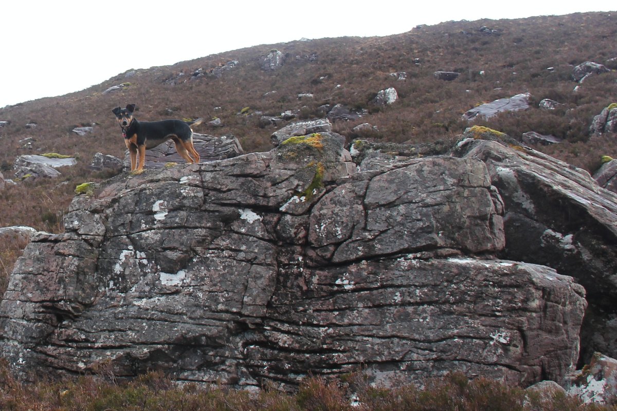 Ten years ago today out walking with Penny (the Wonder Dog). This amazing wee dog completed two rounds of Munros including a round in under 100 days.