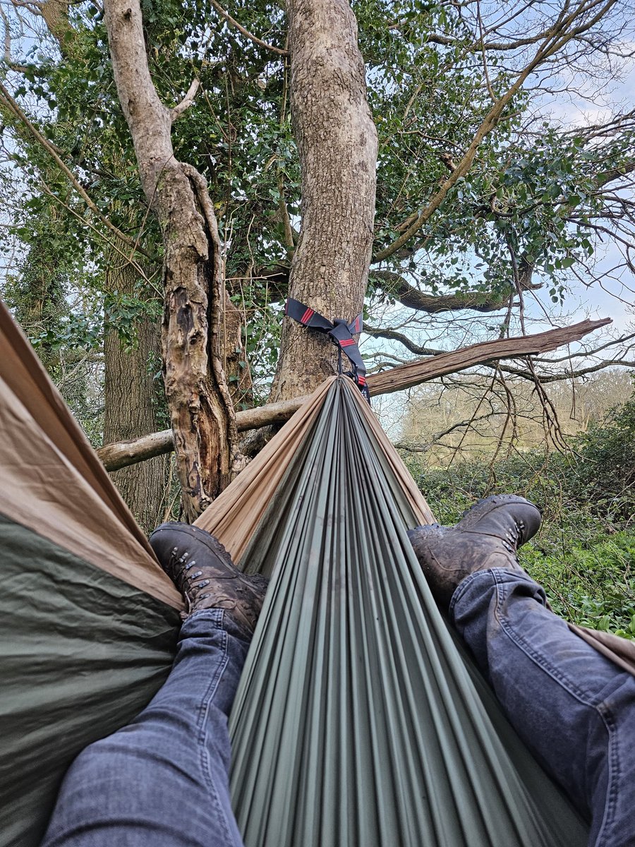 JamesRCutting's tweet photo. Rain rain go away, so I can get out in nature again! 

#CatsNDogs #rain #weather #boredNow https://t.co/nNPjxfOPIl