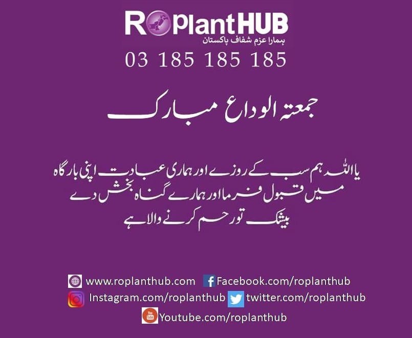 ROPlantHUB's tweet photo. Jumma tul vida Mubarak https://t.co/xRfSMDWidi