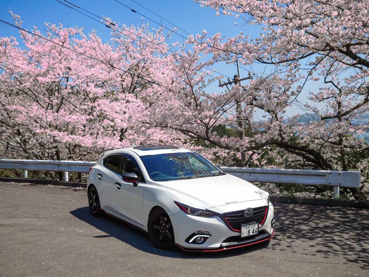 Sochimaru_RL's tweet photo. 桜と撮ってきた～🌸🚗

 #アクセラ  #MAZDA  #Mazda3  #桜 https://t.co/rWnf4DwT9h