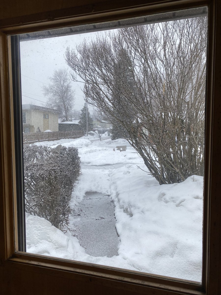 907afa's tweet image. 