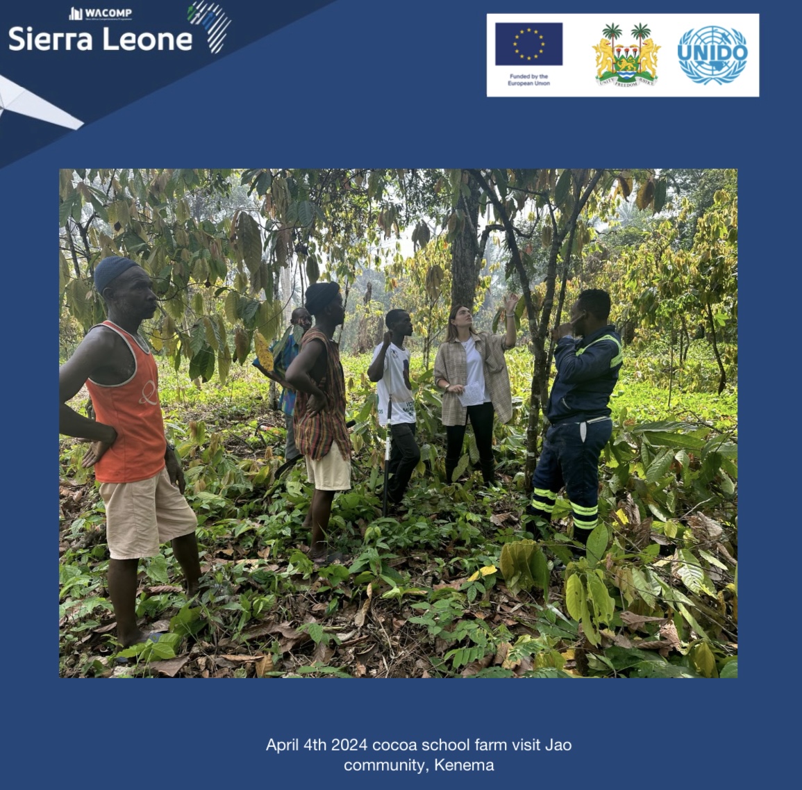 April 4th - the @EUinSierraLeone -funded #WACOMP_SL 🇸🇱@UNIDO Farmers in Kenema receive training about pest and disease management in #cocoa #farms. Due to #climate #change black pod disease is high in cocoa and spreads fast, farmers must maintain weekly removal to reduce loss.