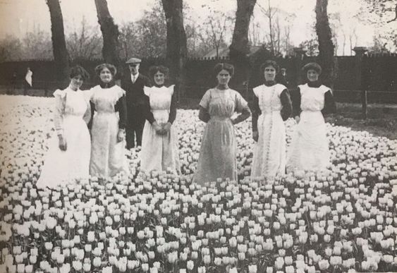 Tulip pickers, Spalding, Lincolnshire, 1920. Bulb growing in the area's rich Fenland soil only took off in the late 19th century when local farmers discovered they could compete with the lucrative Dutch trade.