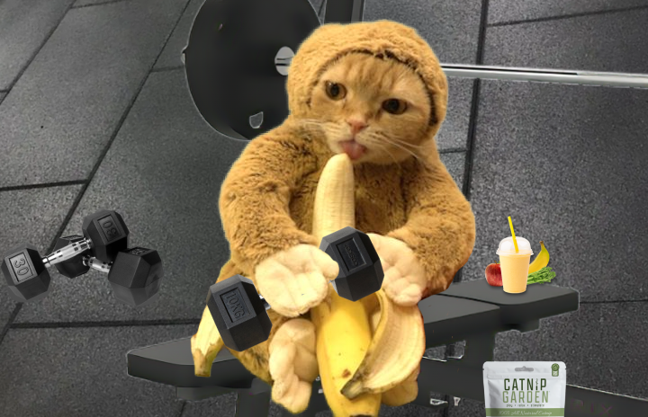 MonkeyCatSolana's tweet photo. Smart MonkeCat 🐒🦍words:

Progress might be slow but the end result is gonna be worth it if monkes keep grinding🧠🧠🧠💪

$MC https://t.co/kRd9MYSVU1