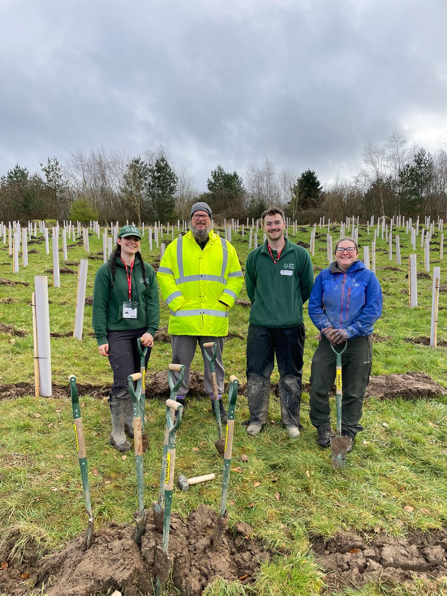 Some highlights of a busy end to a record planting season for the @whiteroseforest 🌳🌳 Over 65,000 trees planted at @nationaltrust March Haigh ✅ Phase 2 of the @WoodlandTrust’s Snaizeholme ✅ and planting Smeaton’s Wood with the students at @TheGSAL ✅