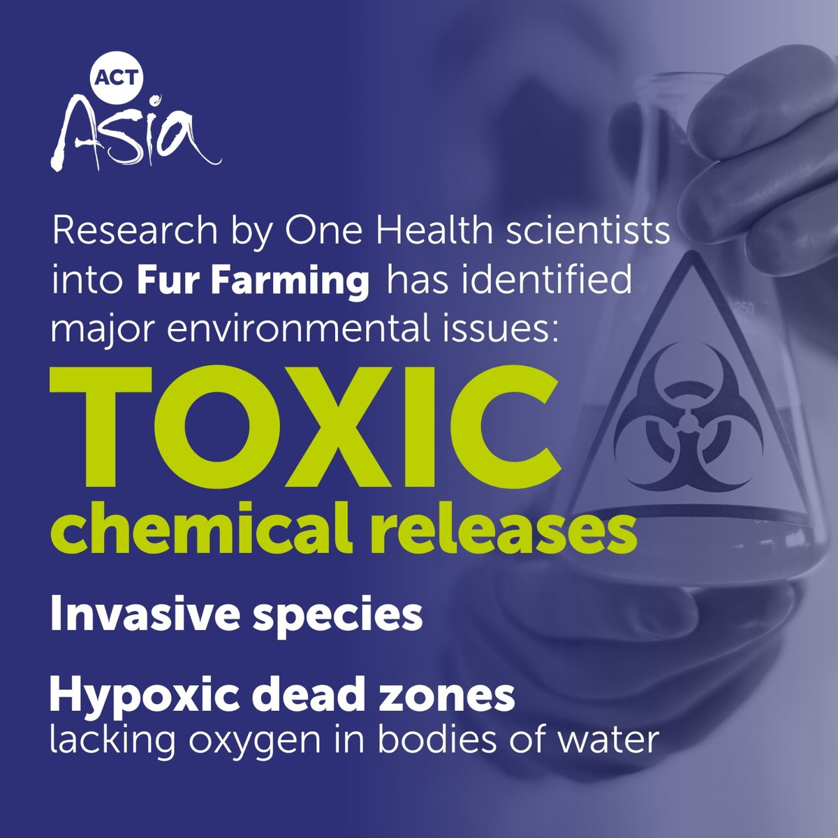 One Health research exposing the damaging impact of fur farming has been published in 'Frontiers' This first close review on fur farming, commissioned by ACTAsia, highlights the threat to human, animal & environmental health. More here: tinyurl.com/mr2btefw