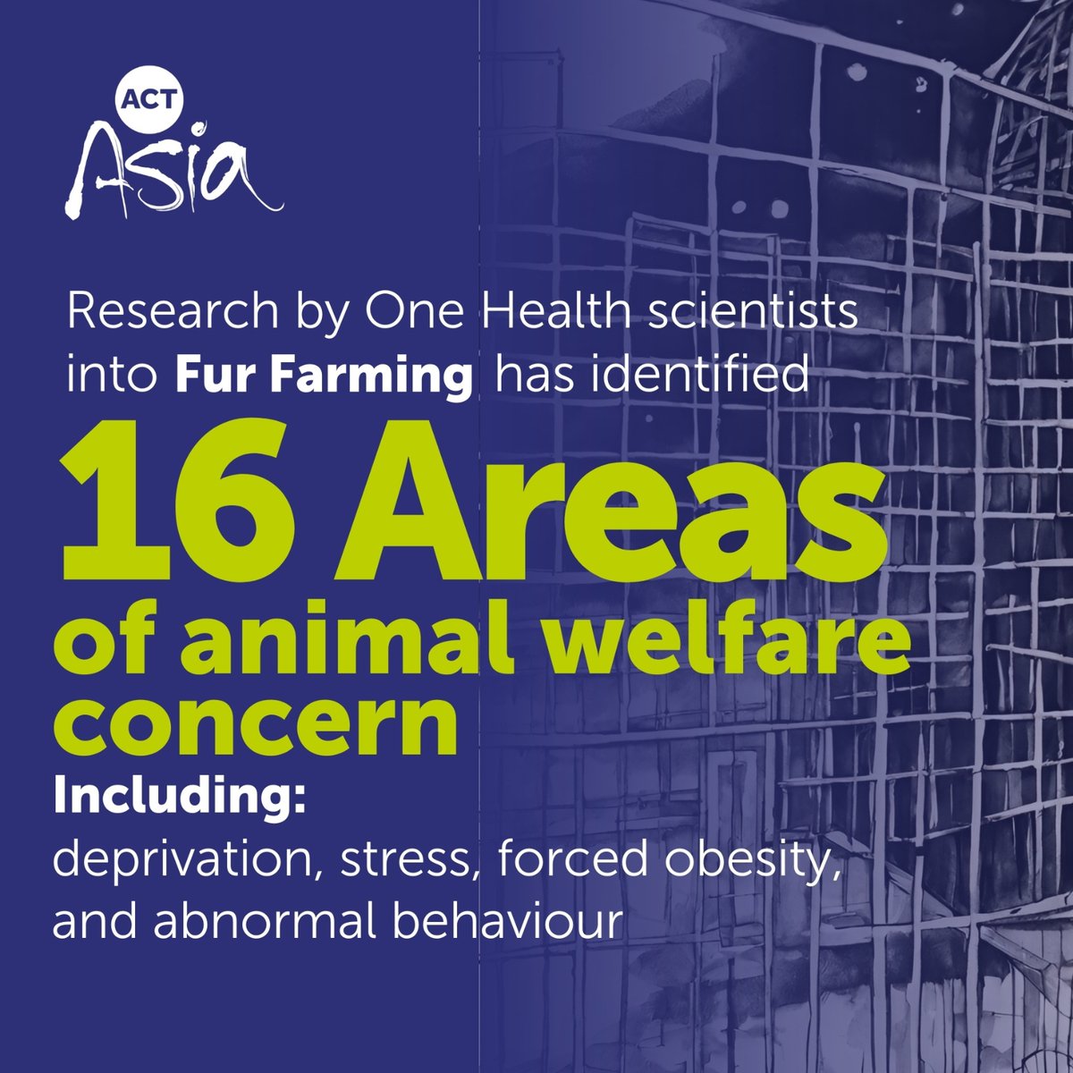 One Health research exposing the damaging impact of fur farming has been published in 'Frontiers' This first close review on fur farming, commissioned by ACTAsia, highlights the threat to human, animal & environmental health. More here: tinyurl.com/mr2btefw