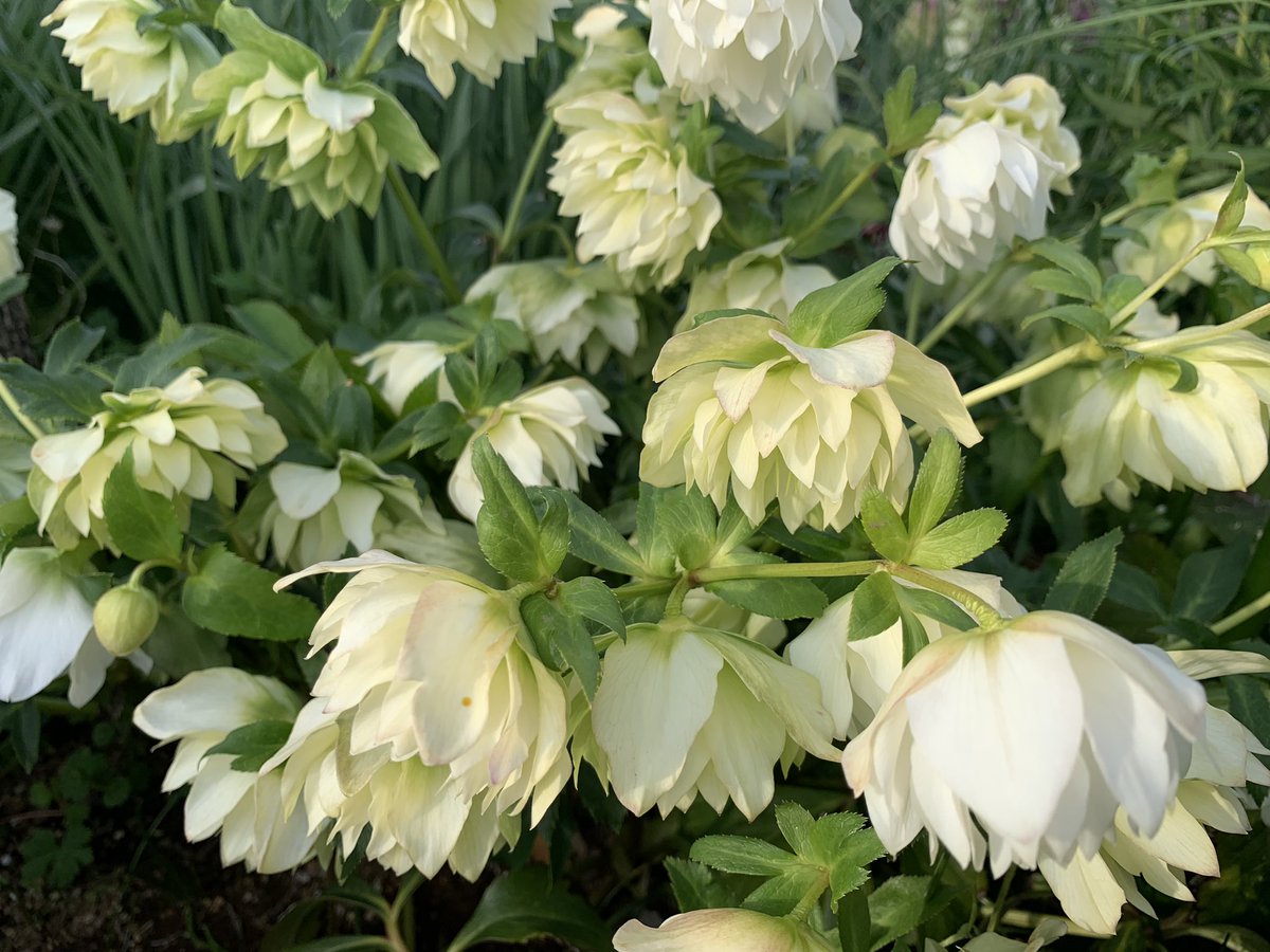 Have a beautiful weekend 🤍☁️🤍