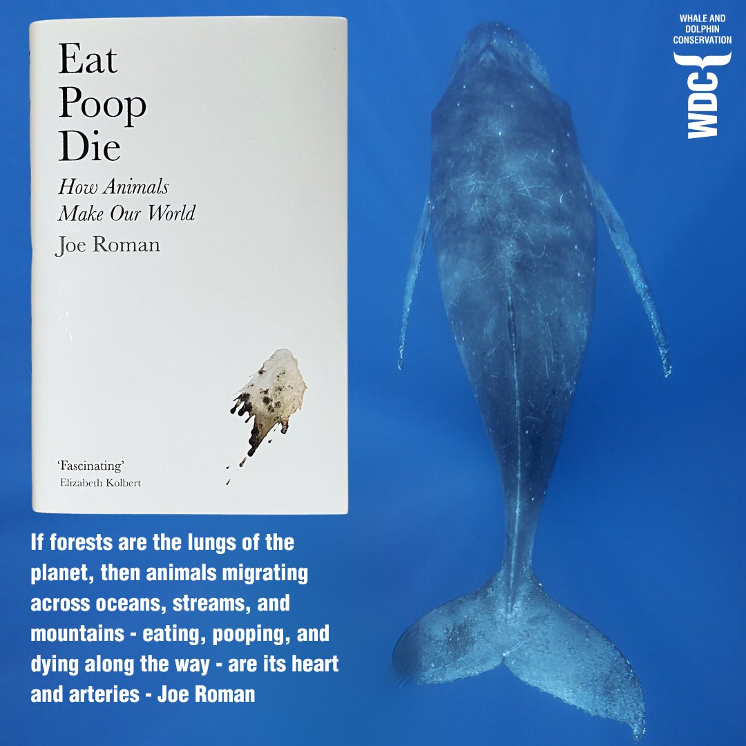 🥳GIVEAWAY TIME 🥳 We have partnered together with Joe Roman and @ProfileBooks to give a copy of Joe’s incredible new book ‘Eat Poop Die’. ‘Eat Poop Die’ takes you on a journey through the life cycles of animals and how their activities, eating, pooping, and dying, are crucial…