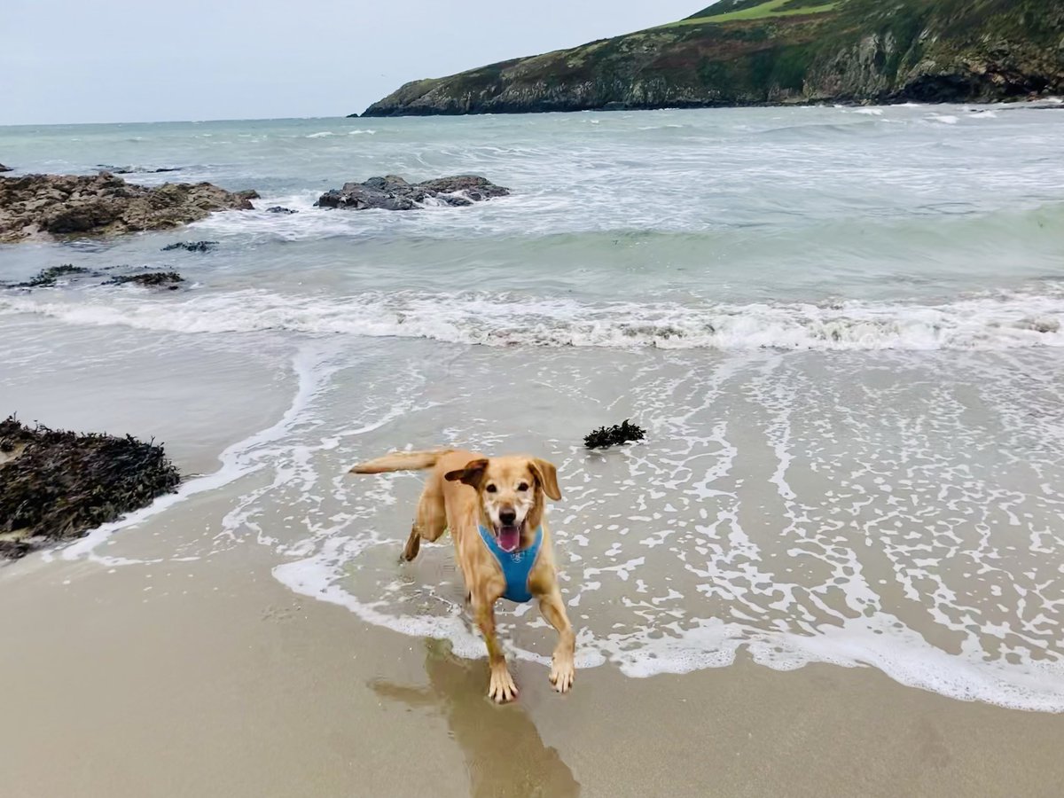 Penny Fray tweet media