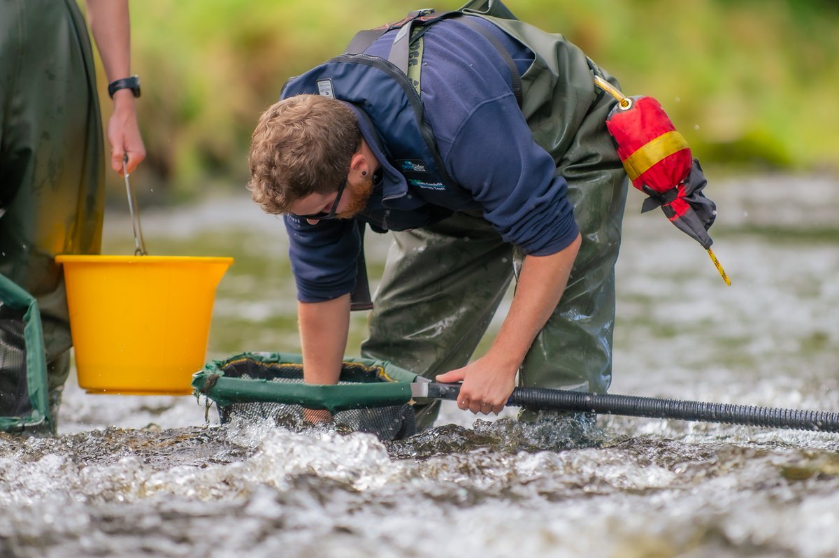 Want to work somewhere awesome? 😀 We've got four job vacancies going. 👇 Project Officer - Resilient Glenderamackin Data & Monitoring Officer Electrofishing Survey Assistant Assistant Project Officer westcumbriariverstrust.org/contact/jobs #jobs #greenjobs #jobsearch