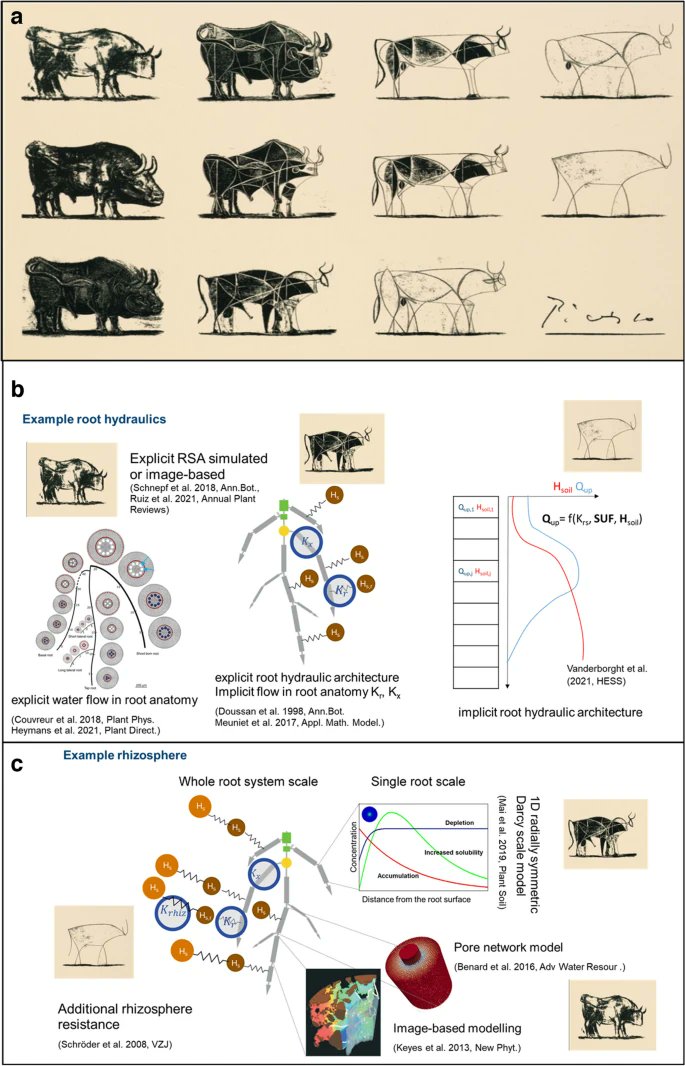 Out now: Bottom-up perspective – The role of roots and rhizosphere in climate change adaptation and mitigation in agroecosystems by T. George et al. 👉rdcu.be/dDMc1 ...the modelers challenge is like Picasso's philosophical question “when does a bull become a bull?”
