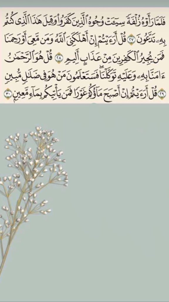 ABASS_BAA's tweet photo. اقرأ سورة الملك قبل النوم فهي المانعة بإذن الله تعالى من عذاب القبر 🌿 https://t.co/Qnp458sxdy