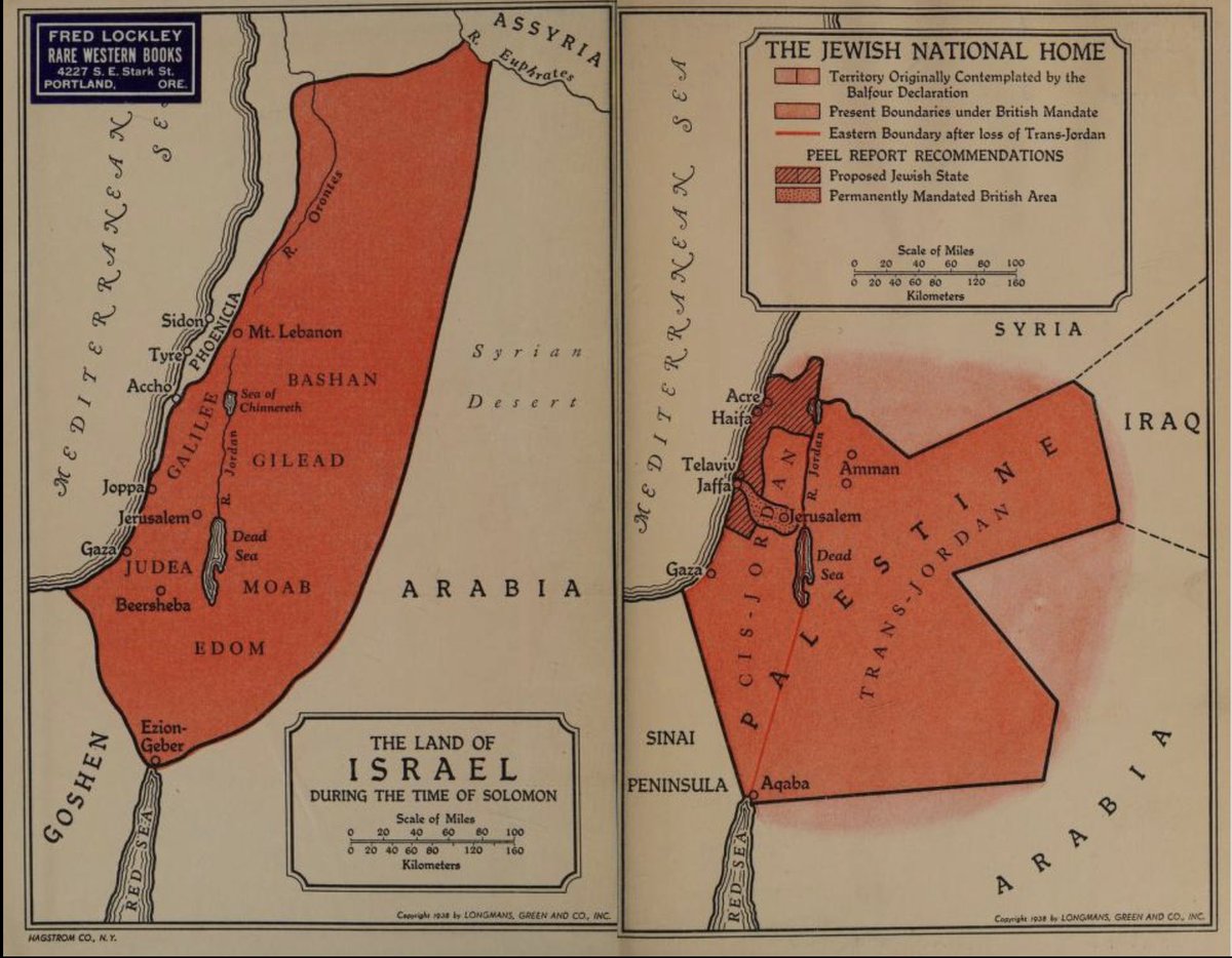 Ballabon tweet media