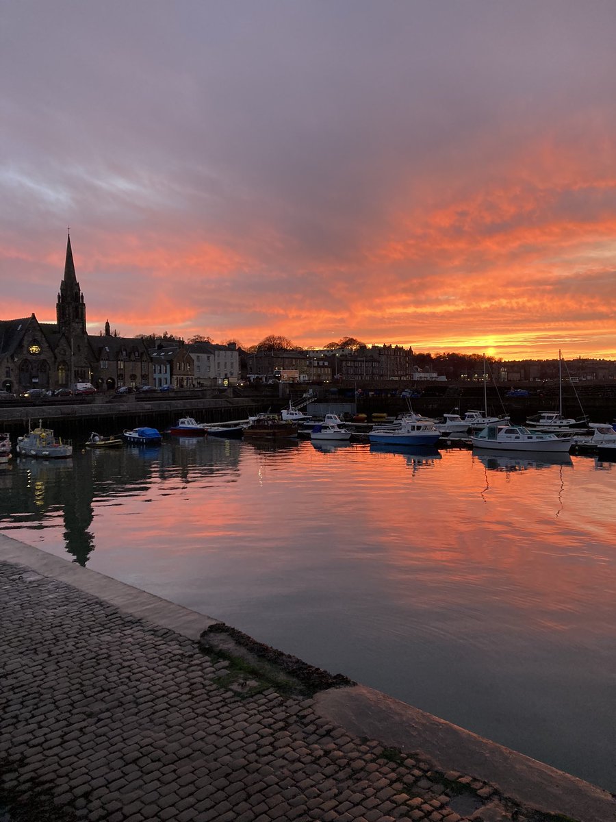 fiona laing tweet media