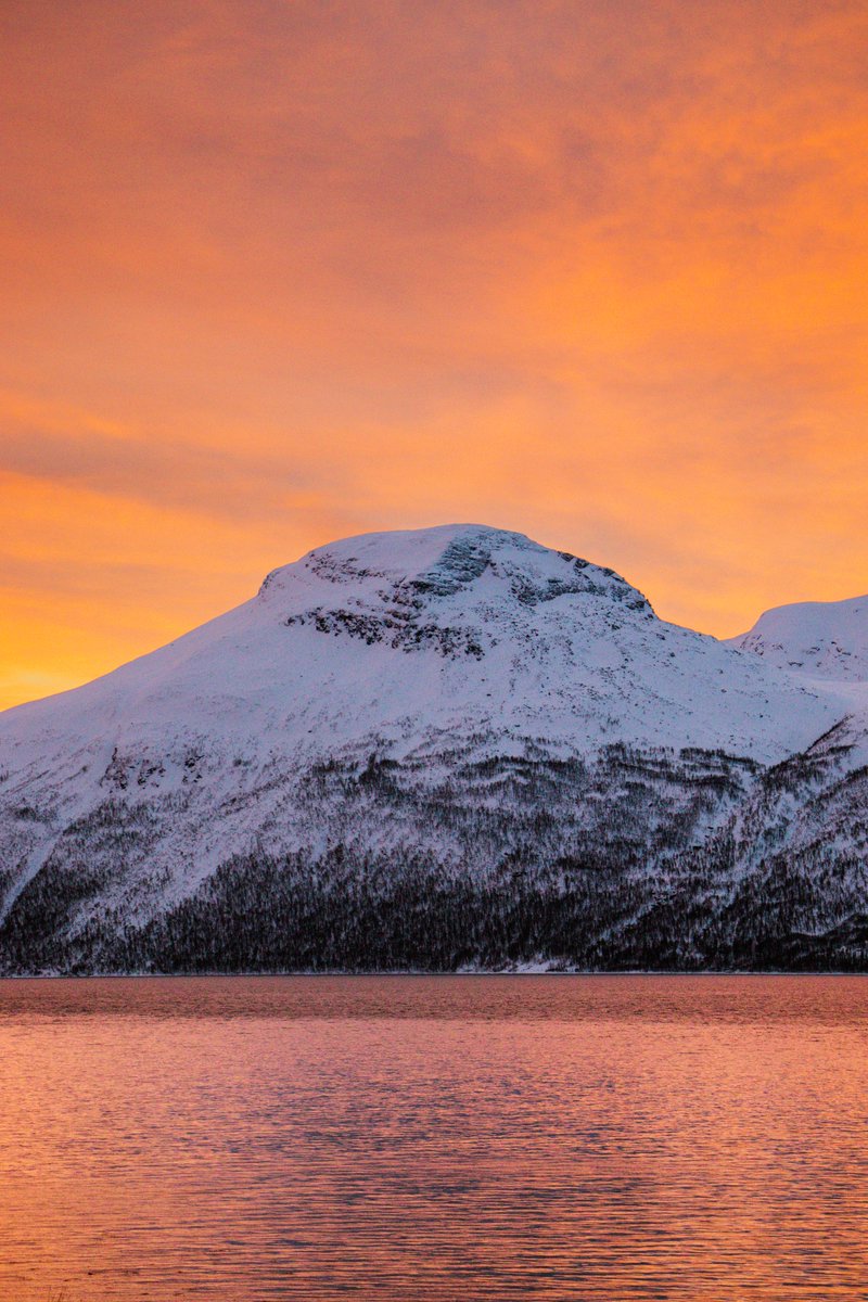omergulenn's tweet photo. Son tatilim ve en iyi fotoğraflarım

Tromsø, Norway https://t.co/rDQH4PsB9X