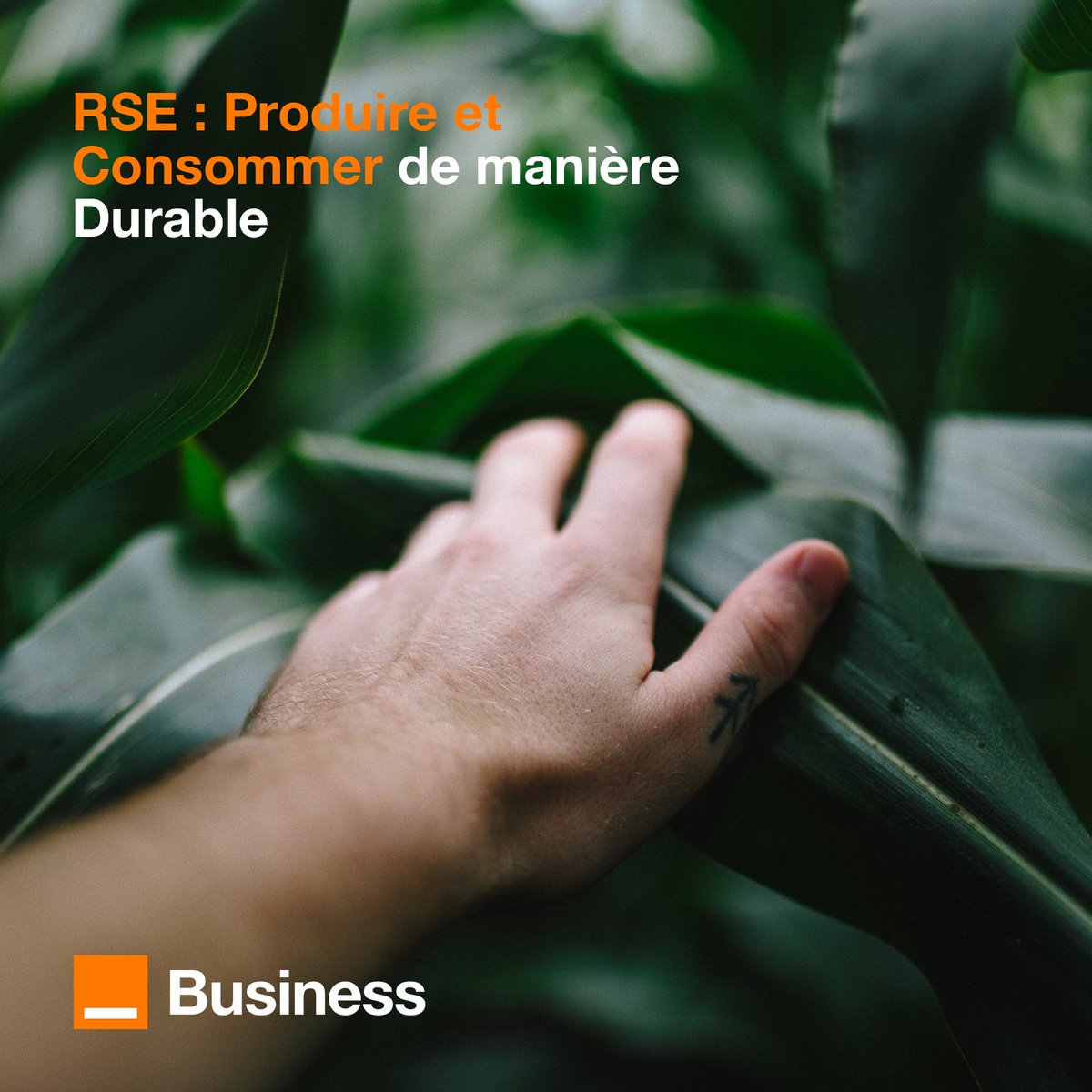 Le saviez-vous ? 💡 Pour créer un smartphone il faut : 70 kg de ressources naturelles pour fabriquer un smartphone de 120 g : soit 500 fois son poids 😵 Est-il possible de produire et consommer de manière durable ? 🌱 Réponse ici 👉 cutt.ly/kw8m4Vo5