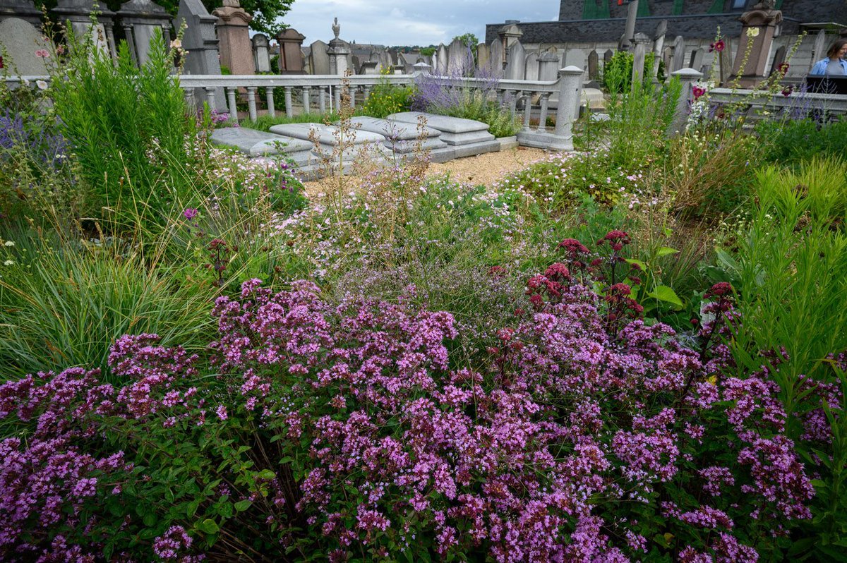 🌿 The historic grounds of Willesden Jewish Cemetery are a remarkable oasis of nature in the busy urban setting of North West London. This summer we will offer many opportunities to explore nature through special events to explore nature Learn more: buff.ly/3VKgb8m