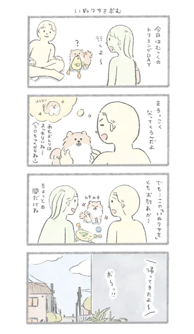 いぬクサさ求む
#うちのむっくはいつも楽しそう 