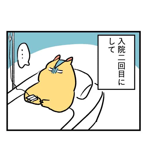 (2/2) 
