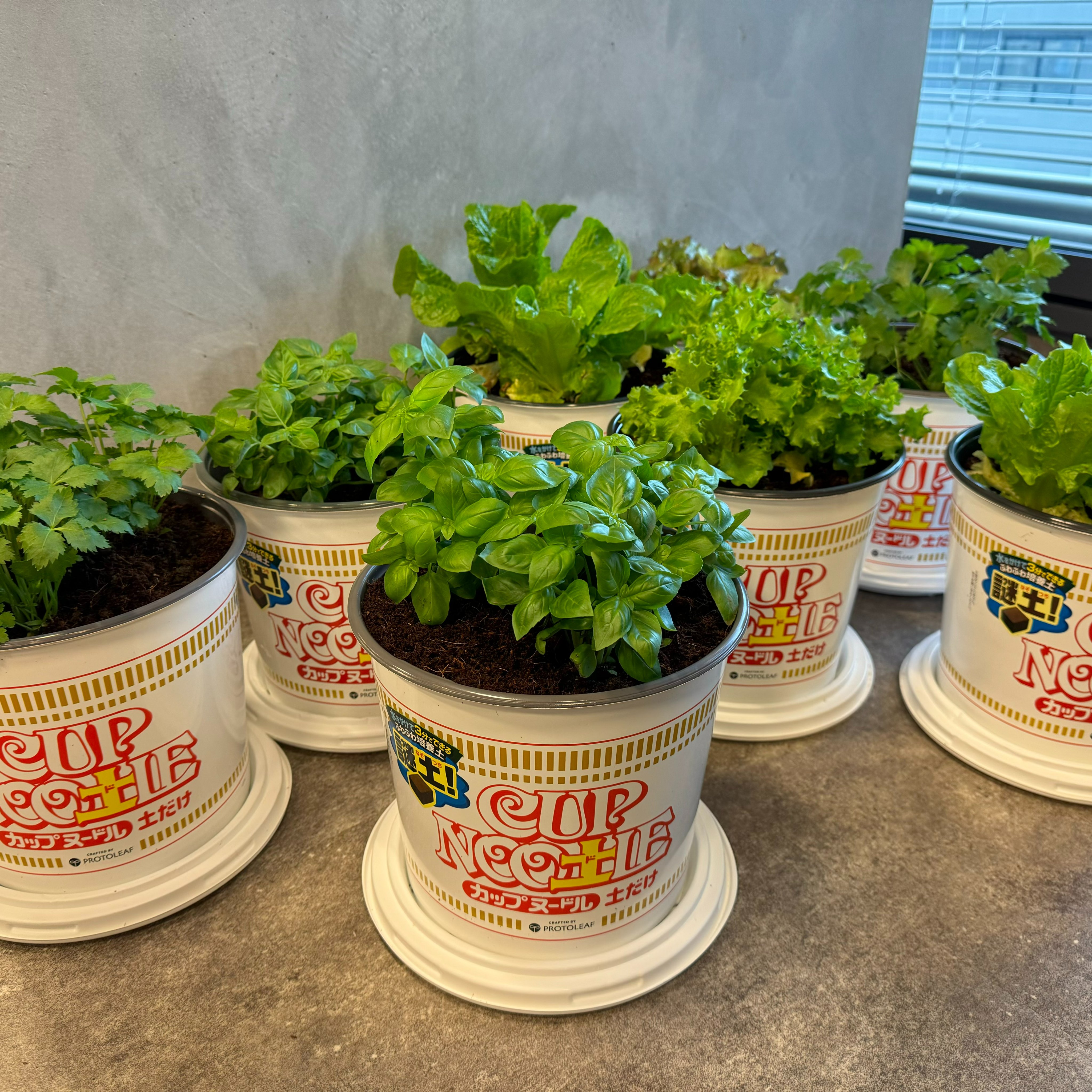 カップヌードル on X: 