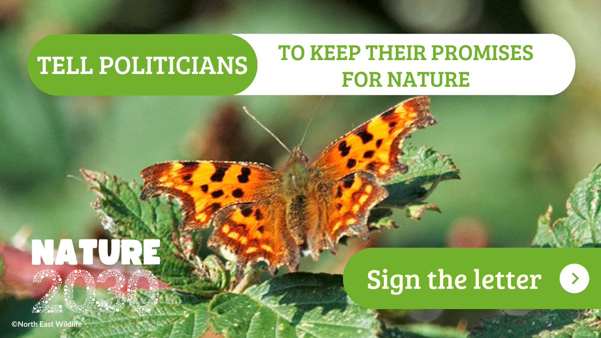 100 of the country's leading environmental and health organisations & people around the country are calling for politicians to commit to 5 big actions for nature. 🌱

Will you join them?

Sign our #Nature2030 letter now to demand nature’s recovery:
bit.ly/nature_2030
